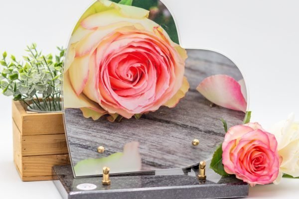 Modèle Altuglass Forme Coeur PLGCOEUR (3)