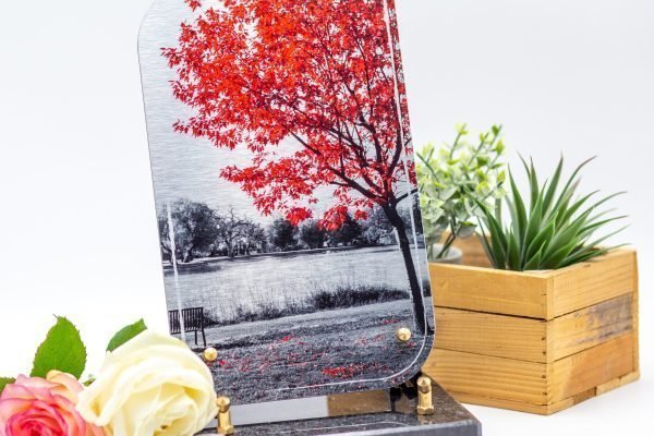 Modèle Aura Portrait AUP003 (2)