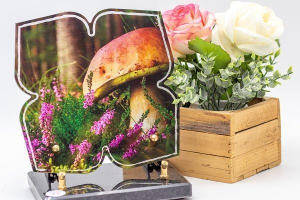 Modèle Corolle CO002 (1)