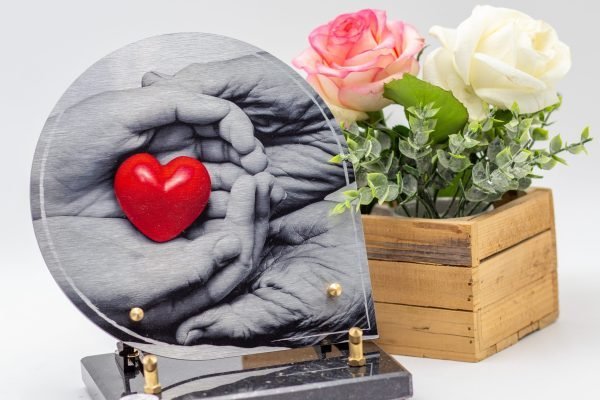 Modèle Halo HA001 (2)