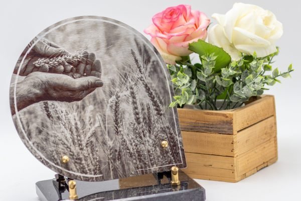 Modèle Halo HA002 (2)