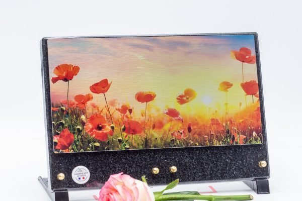 Modèle Horizon Moyen Format PLHOMM (2)