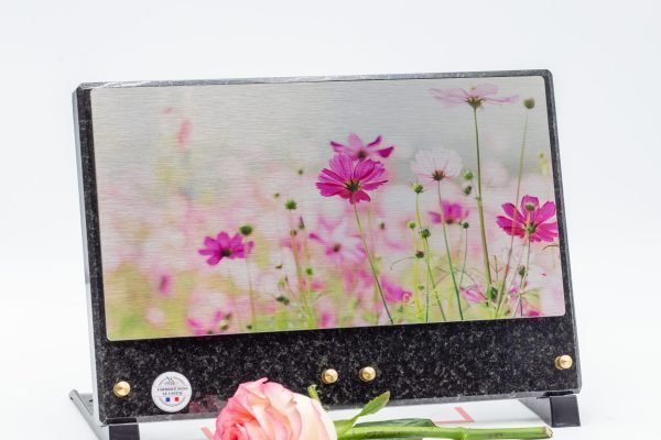 Modèle Horizon Moyen Format PLHOMM (3)