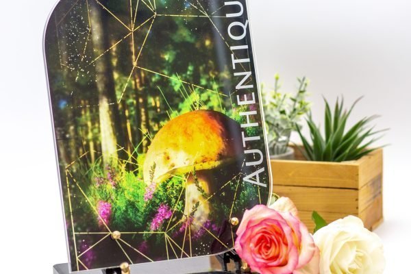 Modèle Linéa AL_RE001 (2)