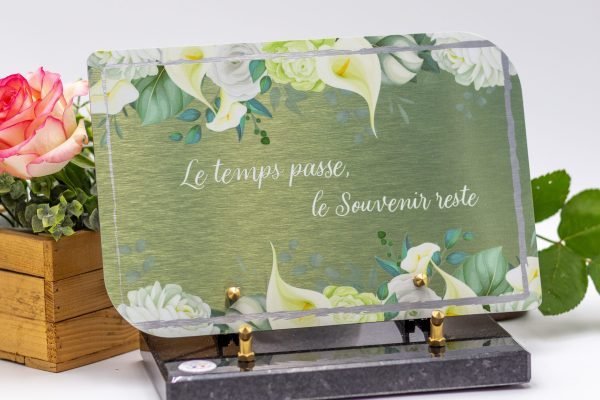 Modèle Océane Ellipse Paysage ELPSE 005 (1)