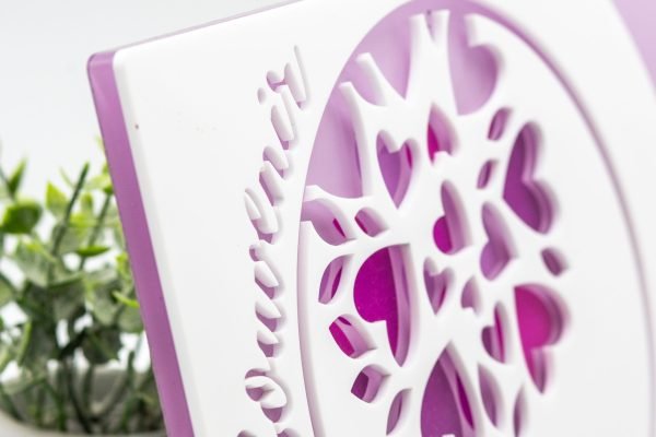 Modèle Souvenir Rose (1)