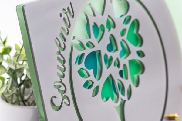 Modèle Souvenir Vert (1)