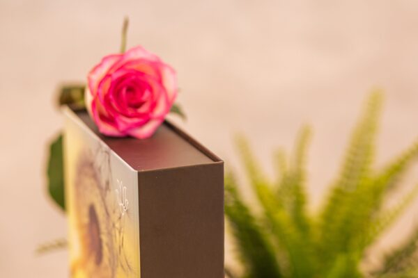 coffret luxe aimanté (6)