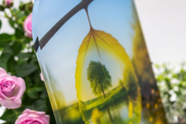 modele_feuille_SYMB29_2