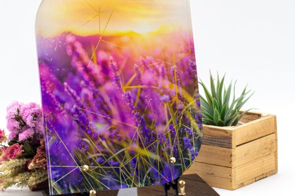 modele_linea_AL_RE009_1