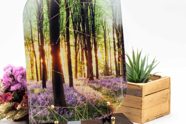 modele_linea_AL_RE012_1