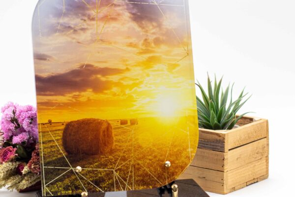 modele_linea_AL_RE015_1