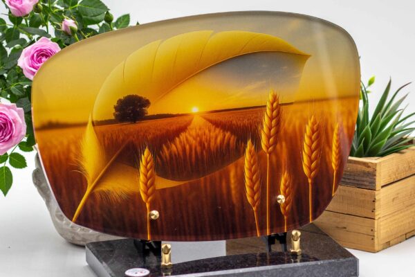 modele_plume_SYMB01_1