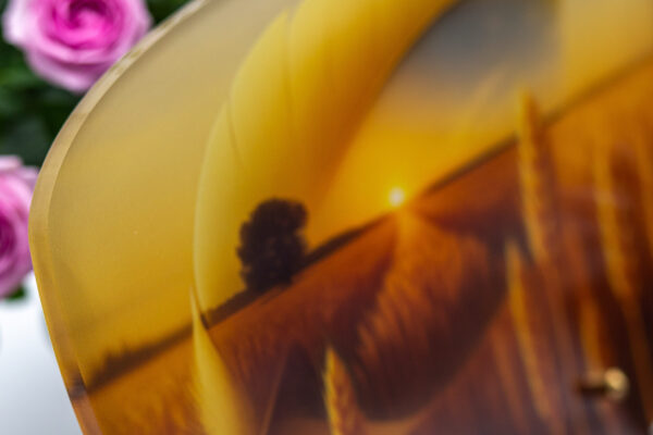 modele_plume_SYMB01_2