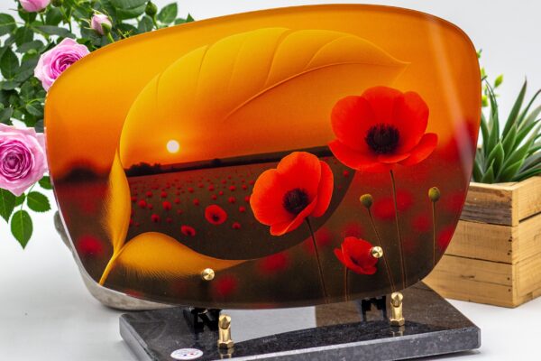 modele_plume_SYMB04_1