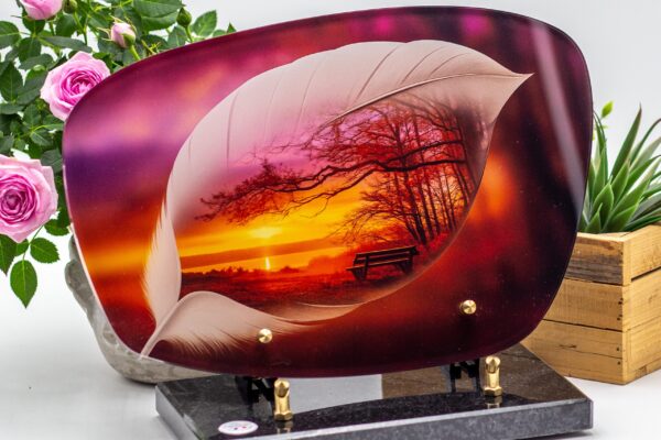 modele_plume_SYMB09_1