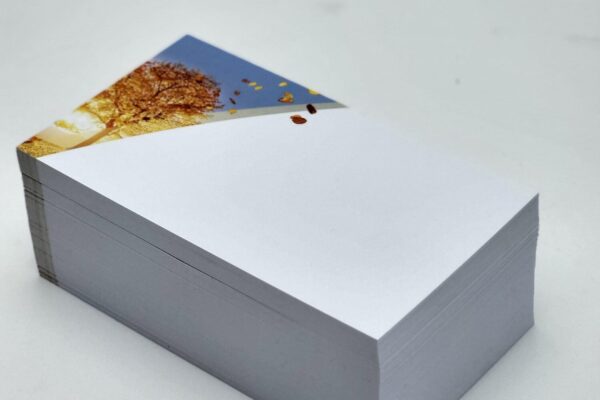 carte de remerciement sans texte (5)