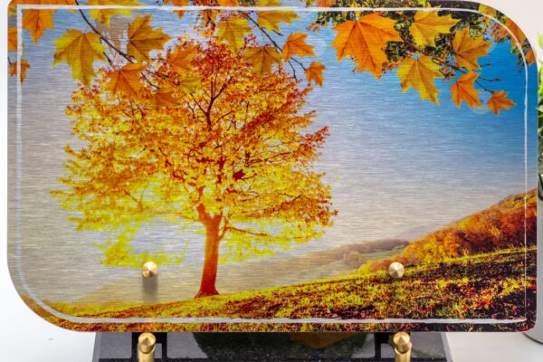 modele_aura_paysage_AU004_1